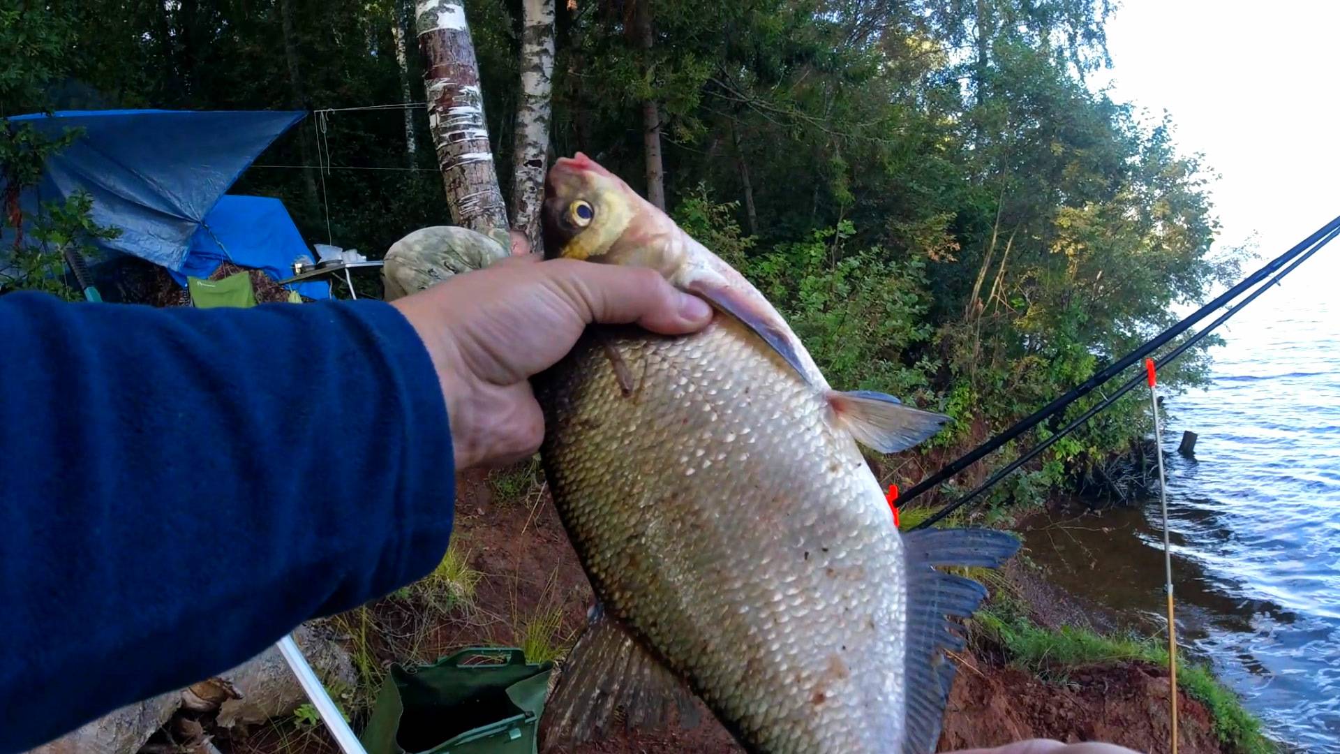 Рыбалка С Ночевкой! Волга, Фидеры, Лосятина На Костре. Отличный Отдых!