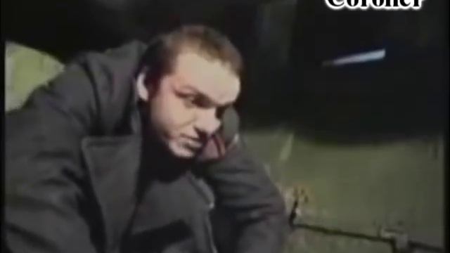 О Современных Слоновых Видео смотреть онлайн