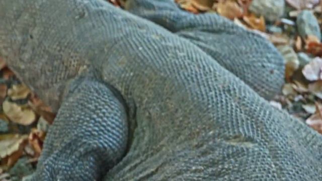 Всем доброго утра и хорошего дня! смотреть онлайн