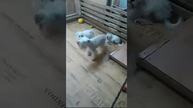 VID 20151011 165101 смотреть онлайн