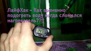 Как временно подогреть аквариум когда сломался нагреватель