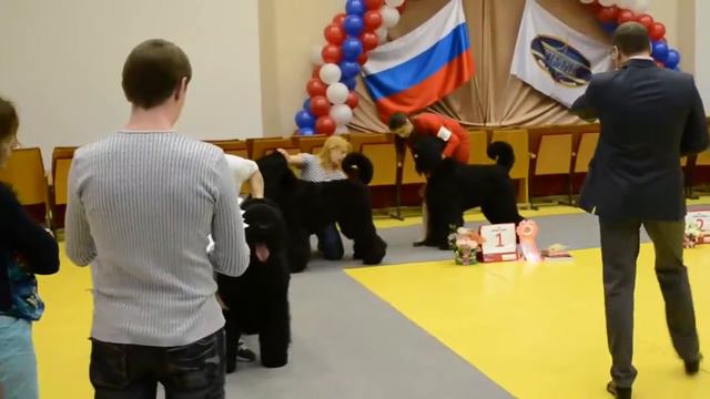 DSC 8886 смотреть онлайн