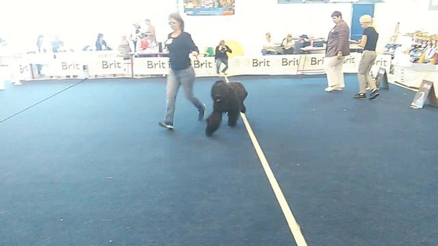 VID 20180819 170614 смотреть онлайн