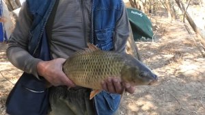 Рыбалка в Астрахани на нижней Волге Часть 1