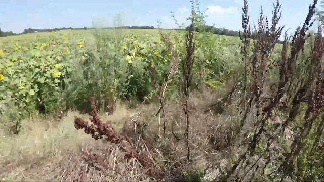 ПИСТОЛЕТ МЕНЯ ПОДВЕЛ!!! СТРАЙКБОЛ // AIRSOFT ACTION