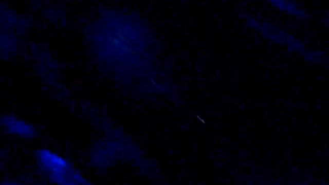 Simon Mignolet/Steven Fletcher Songs @ Privilege Derby Day смотреть онлайн