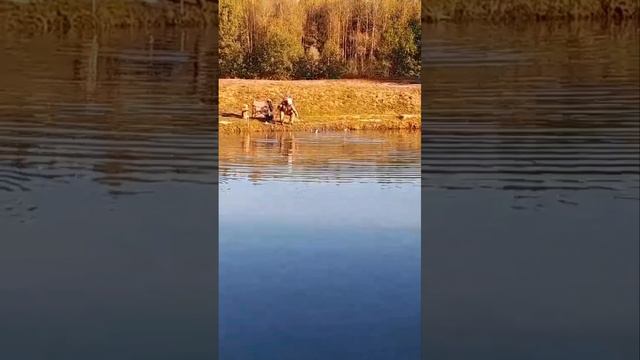 поимки форели смотреть онлайн