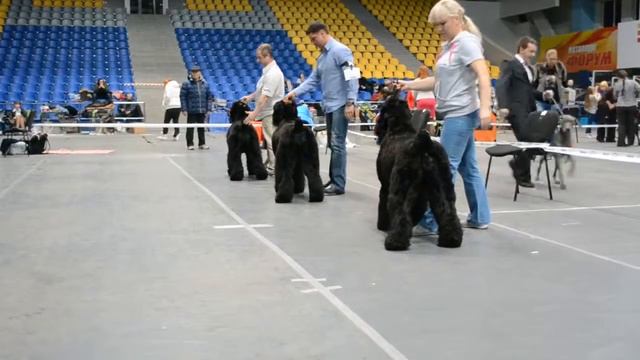DSC 5020 смотреть онлайн