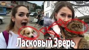 Шокирующие случаи. Криминальные истории #16