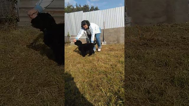 VID 20180906 162323 смотреть онлайн