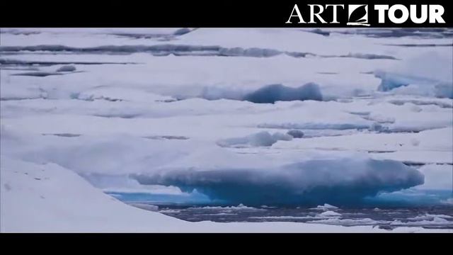 Quark Expeditions1