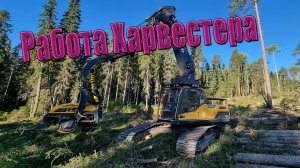 Работа Харвестера #харвестерФорвардер