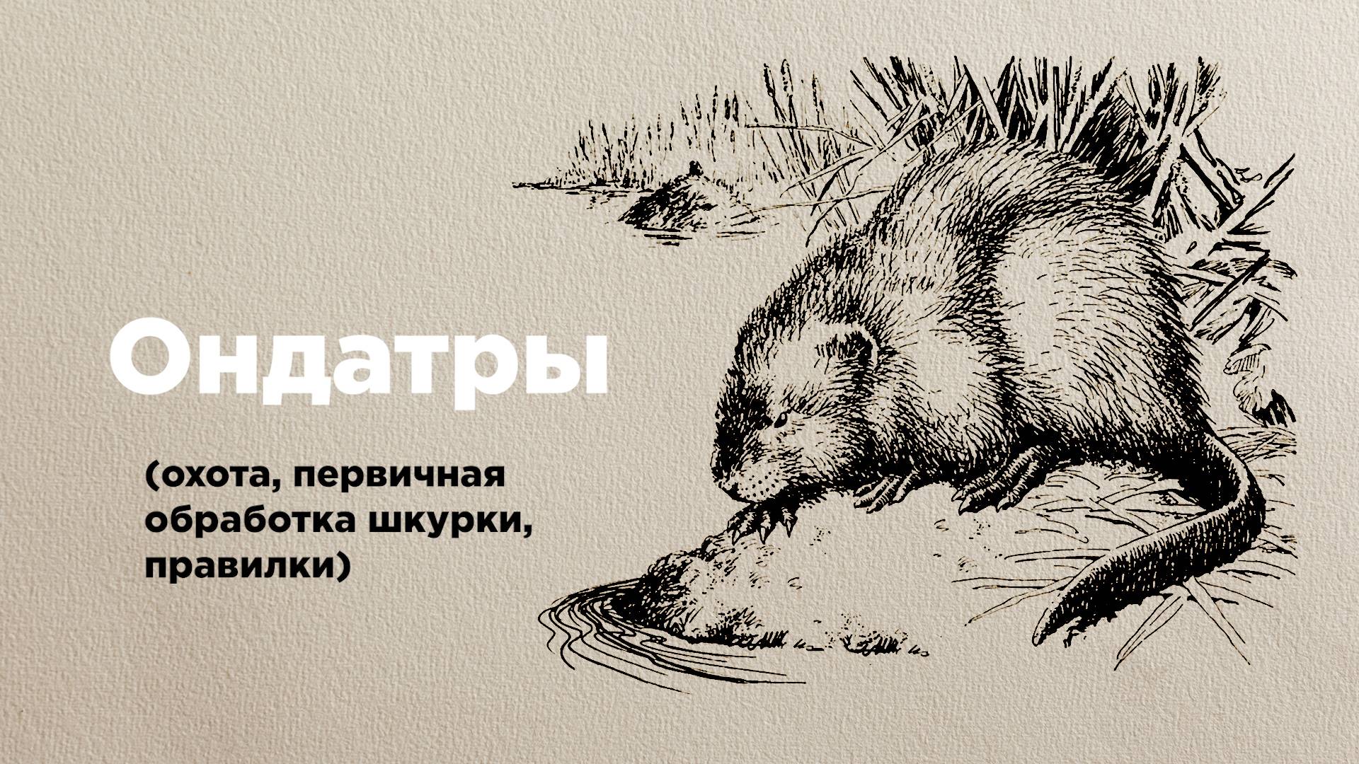 Николай Хилько