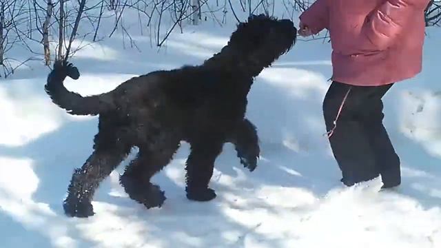 VID 20160311 122413 смотреть онлайн