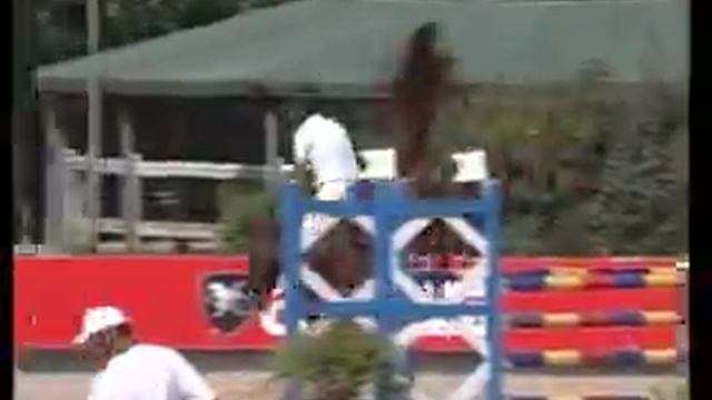 BALEXUS 2006 gelding (ginus x alexis) смотреть онлайн