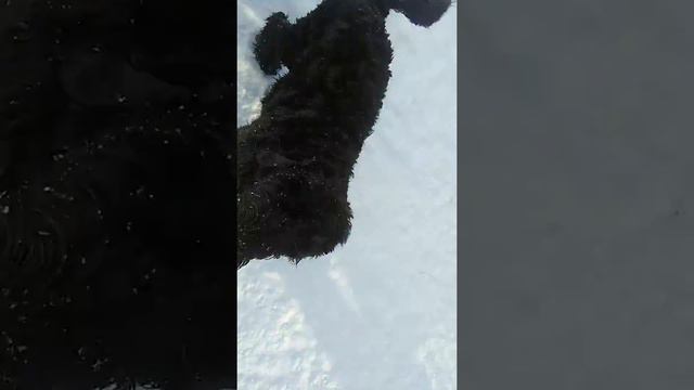 Вирджин и викинг смотреть онлайн