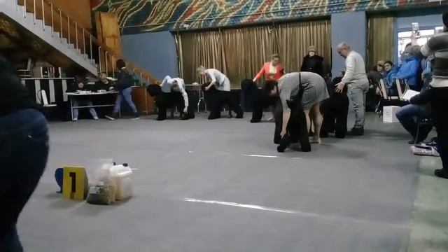 сравнение лпп смотреть онлайн