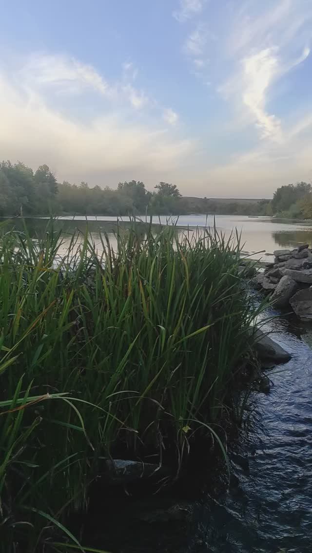 Река Калитва 26 сентября смотреть онлайн