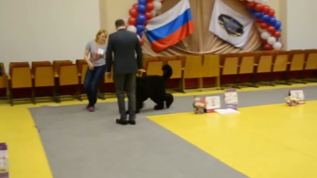 DSC 8880 смотреть онлайн