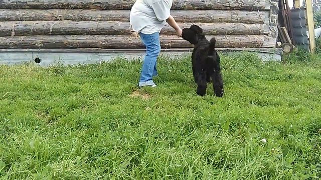 VID 20180718 185812 1 смотреть онлайн
