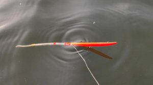 КРУПНЫЙ ЖЕЛТЫЙ КАРАСЬ перед морозами - РЫБАЛКА НА ПОПЛАВОК ОСЕНЬЮ НА РЕКЕ