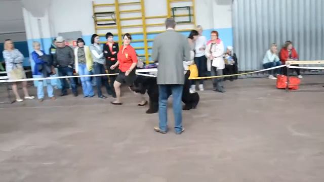 DSC 1205 смотреть онлайн