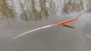 Закинул ПОПЛАВОК на карася - и НАЧАЛОСЬ!! Рыбалка весной