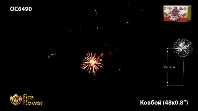 OC6490 смотреть онлайн