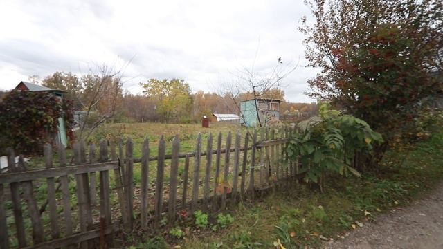 50067032 смотреть онлайн