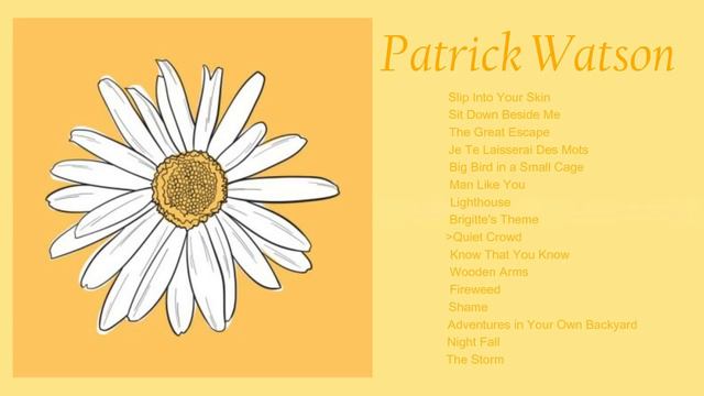 A Patrick Watson Playlist Because They're Underrated