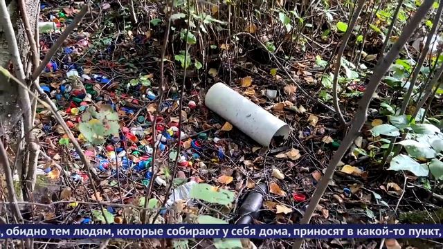 Обнинские новости (за 26 сентября 2024) смотреть онлайн