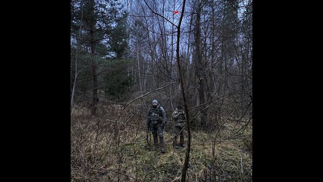 Боевые Оливки - Чёрный конь смотреть онлайн