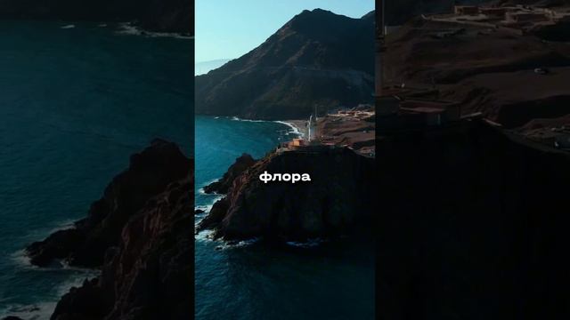 ЗНАЧЕНИЕ РУССКИХ СЛОВ смотреть онлайн