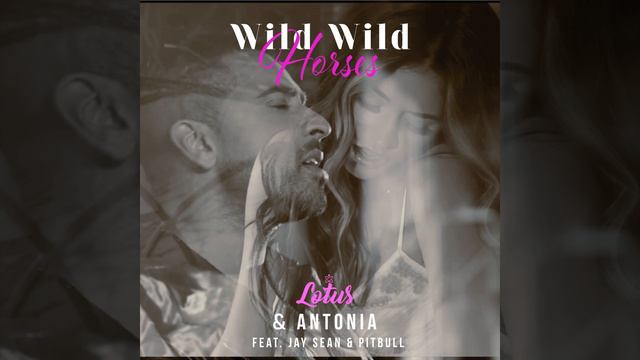 Wild Wild Horses (Robin Tune Remix) смотреть онлайн
