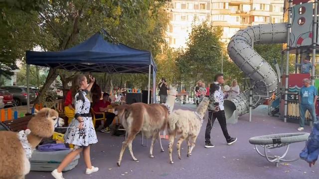 Праздник двора смотреть онлайн