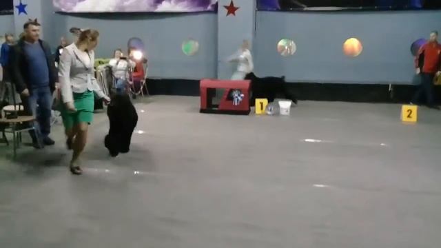 юниорысравнение смотреть онлайн