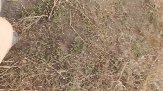 ТАЛИБЫ СНОВА НАПАЛИ. ISAF-2022, ЧАСТЬ 3 смотреть онлайн