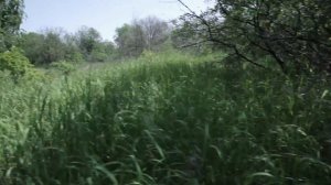 [Игра на выживание #3] Новое начало (Сериал по мотивам DAYZ)