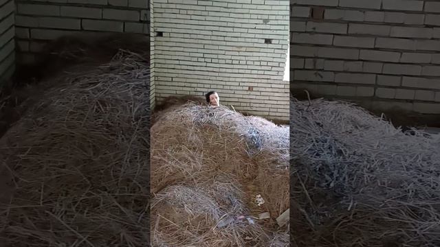 голова на сене смотреть онлайн