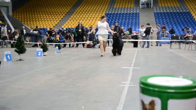Виолетт смотреть онлайн