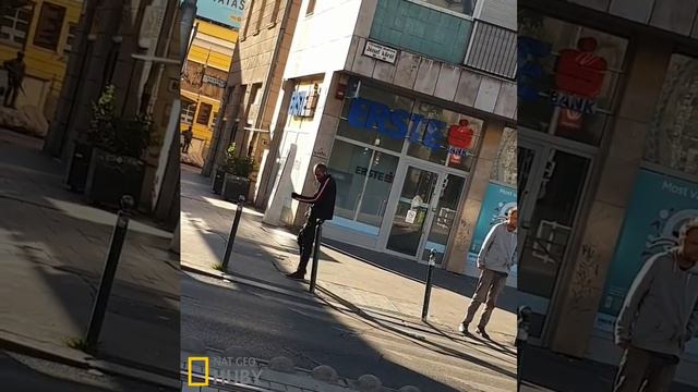 a 8. kerület élővilága смотреть онлайн