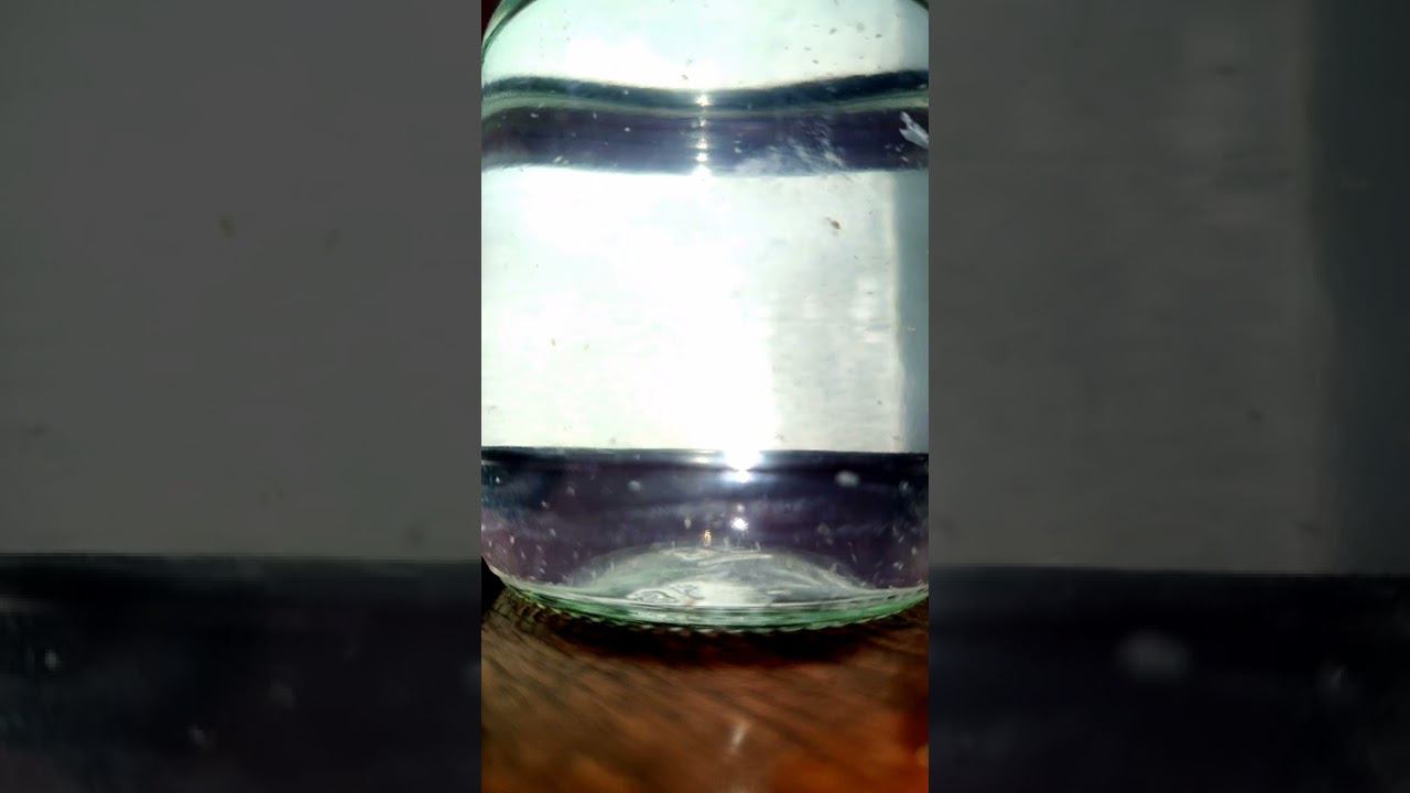 ПРИОБРЁЛ КУЛЬТУРУ ДАФНИИ смотреть онлайн