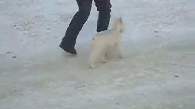 P1150001.MOV смотреть онлайн