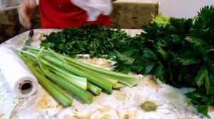 Быстрый и простой способ заготовки на зиму в Свежем Виде Черешкового Сельдерея.
