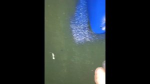 UNUSUAL MEMES COMPILATION V287