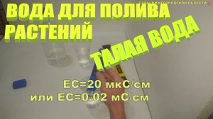 ВОДА ДЛЯ ПОЛИВА.Талая вода для полива растений