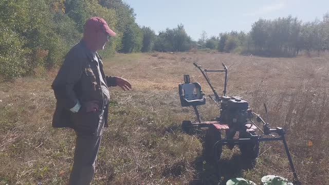 Борюсь с сухостоем.