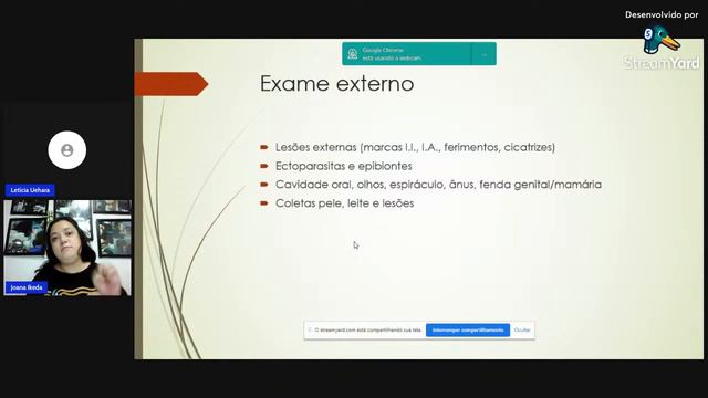 Necrópsia de pequenos cetáceos смотреть онлайн
