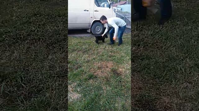 МВ Загадка Сфинкса смотреть онлайн