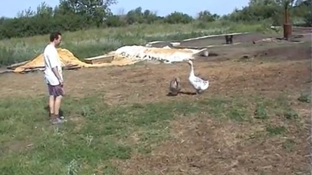 Деревня 2002 смотреть онлайн
